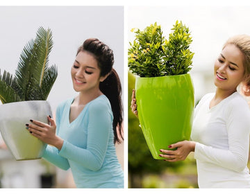 Free shipping on all orders