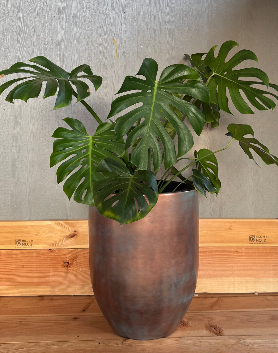 18-27 Inches tall Fiberglass planter - Copper patina