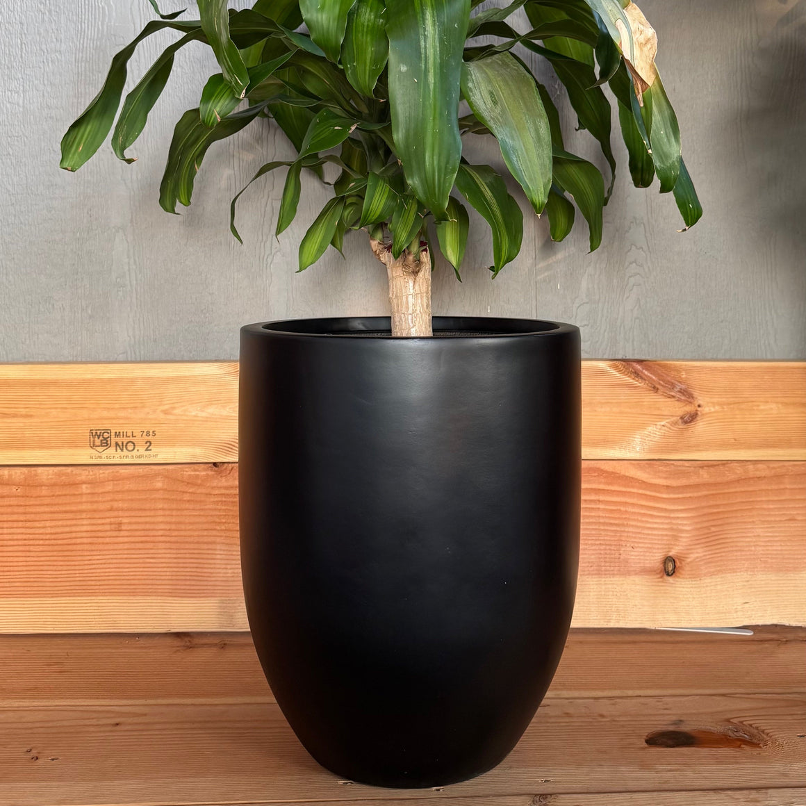 18-27 Inches tall Fiberglass planter - Matte black