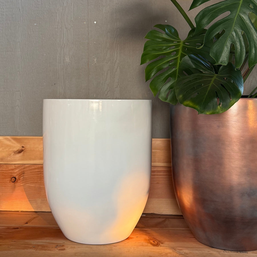 18-27 Inches tall Fiberglass planter - Glossy white