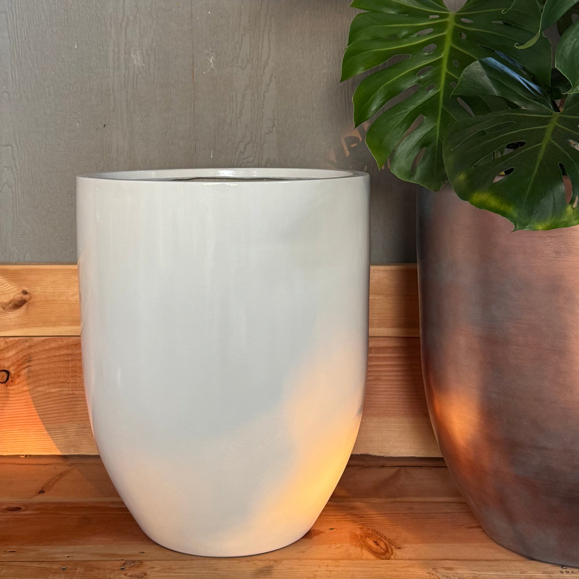 18-27 Inches tall Fiberglass planter - Glossy white