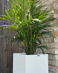 Matte White Fiberglass Planter: Tall Square Garden Pot
