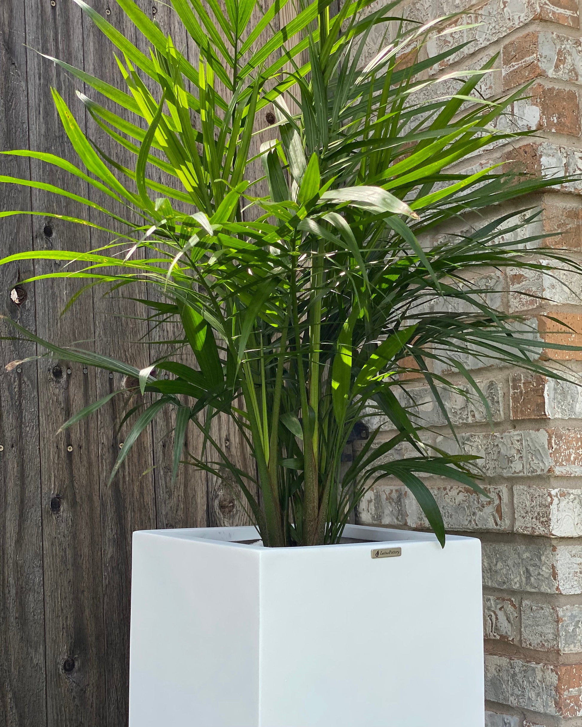 Matte White Fiberglass Planter: Tall Square Garden Pot