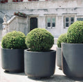 XXL Matte Black Fiberglass Planter - 39 Inch Round Garden Pot