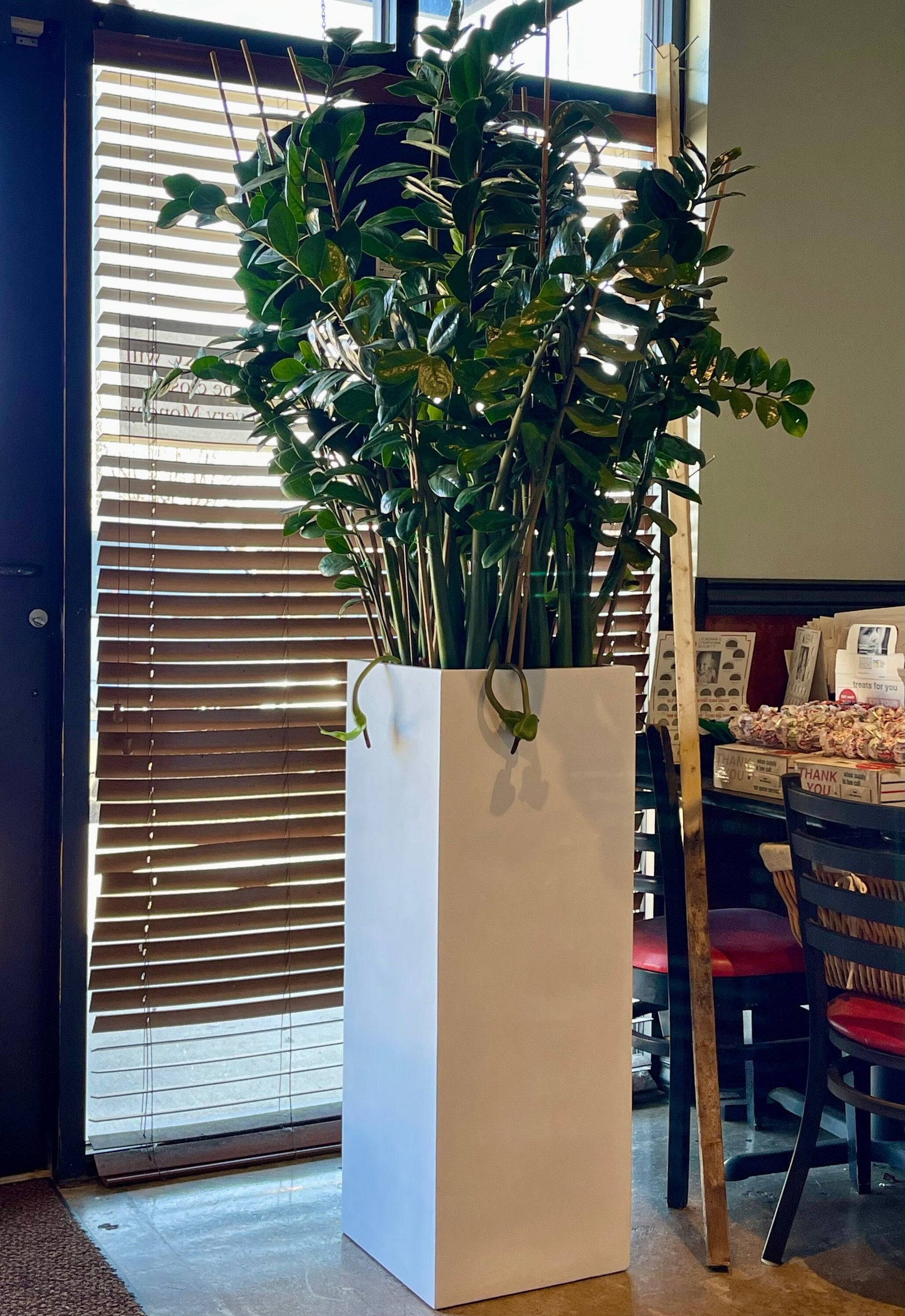 Matte White Fiberglass Planter: Tall Square Garden Pot