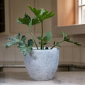 Handmade Fiberglass Planter: Round Moon Surface Design
