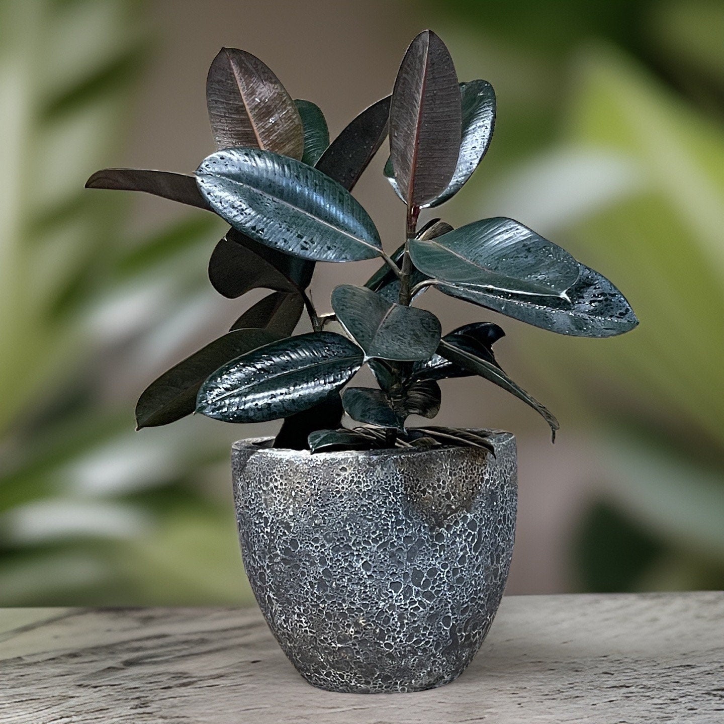 Handmade Fiberglass Planter: Greymoon Moon Surface Egg Pot