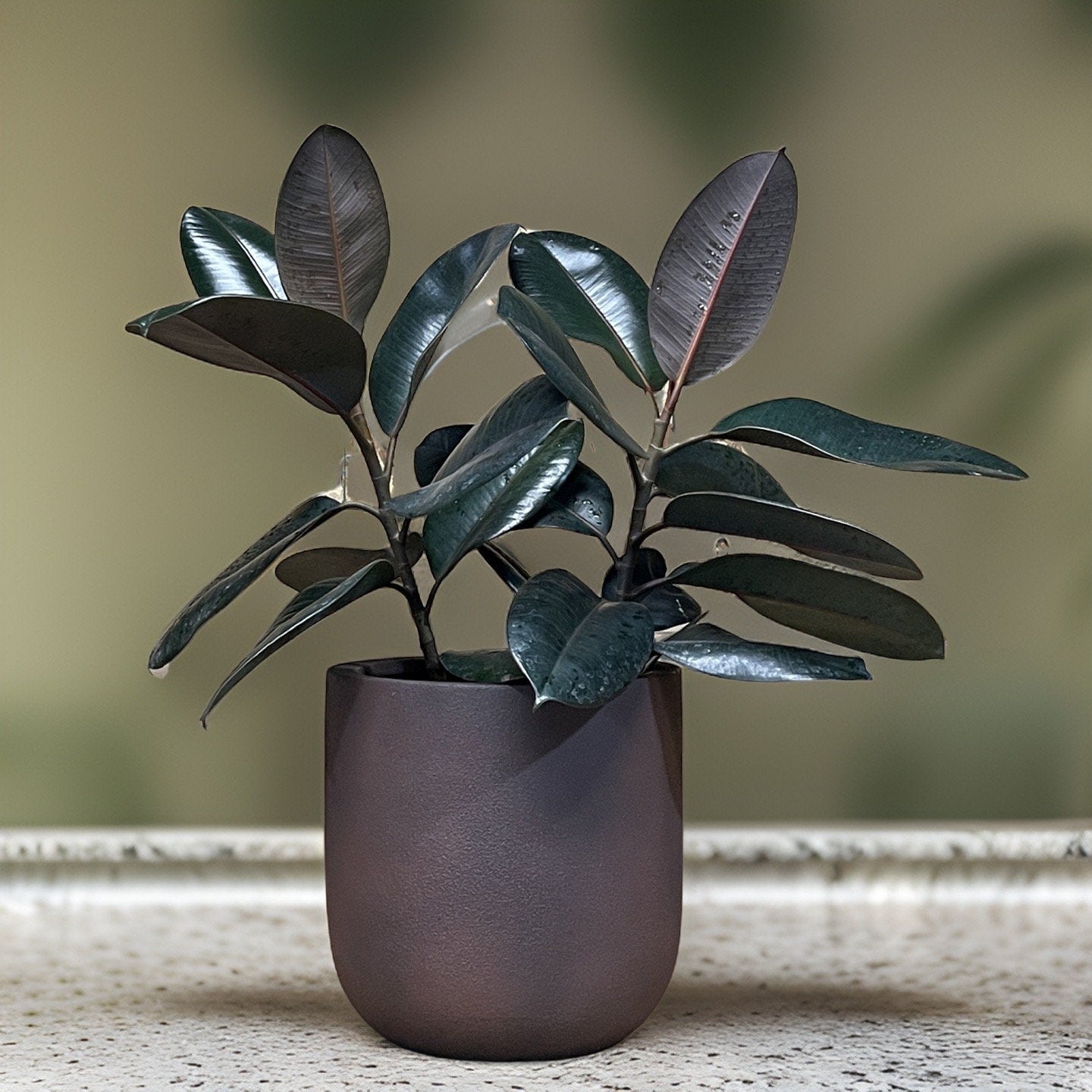 Iron Rust Fiberglass Planter: Contemporary Round Plant Pot