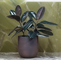 Iron Rust Fiberglass Planter: Contemporary Round Plant Pot