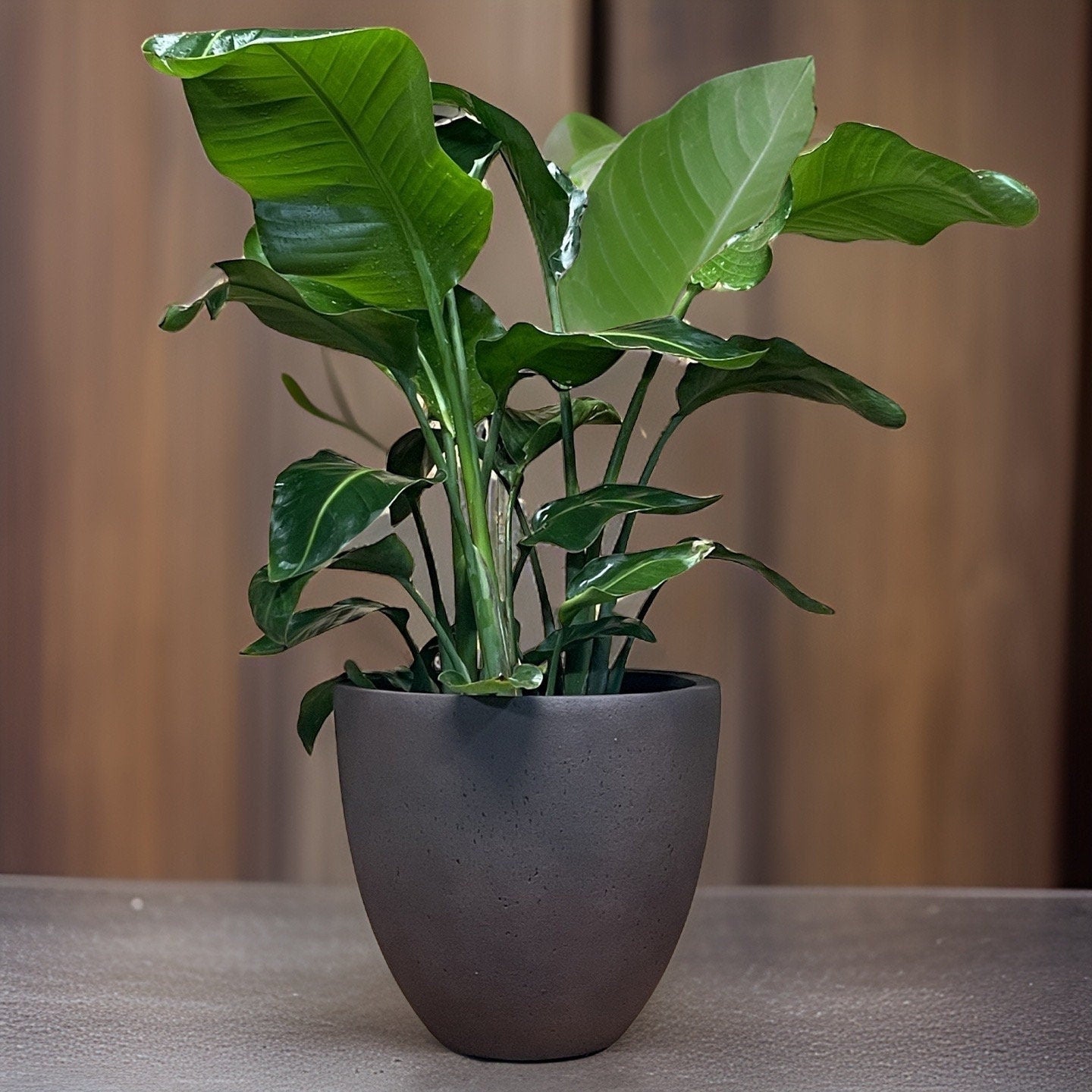 Iron Rust Fiberglass Planter: Round Garden Plant Pot (13-15 inches)