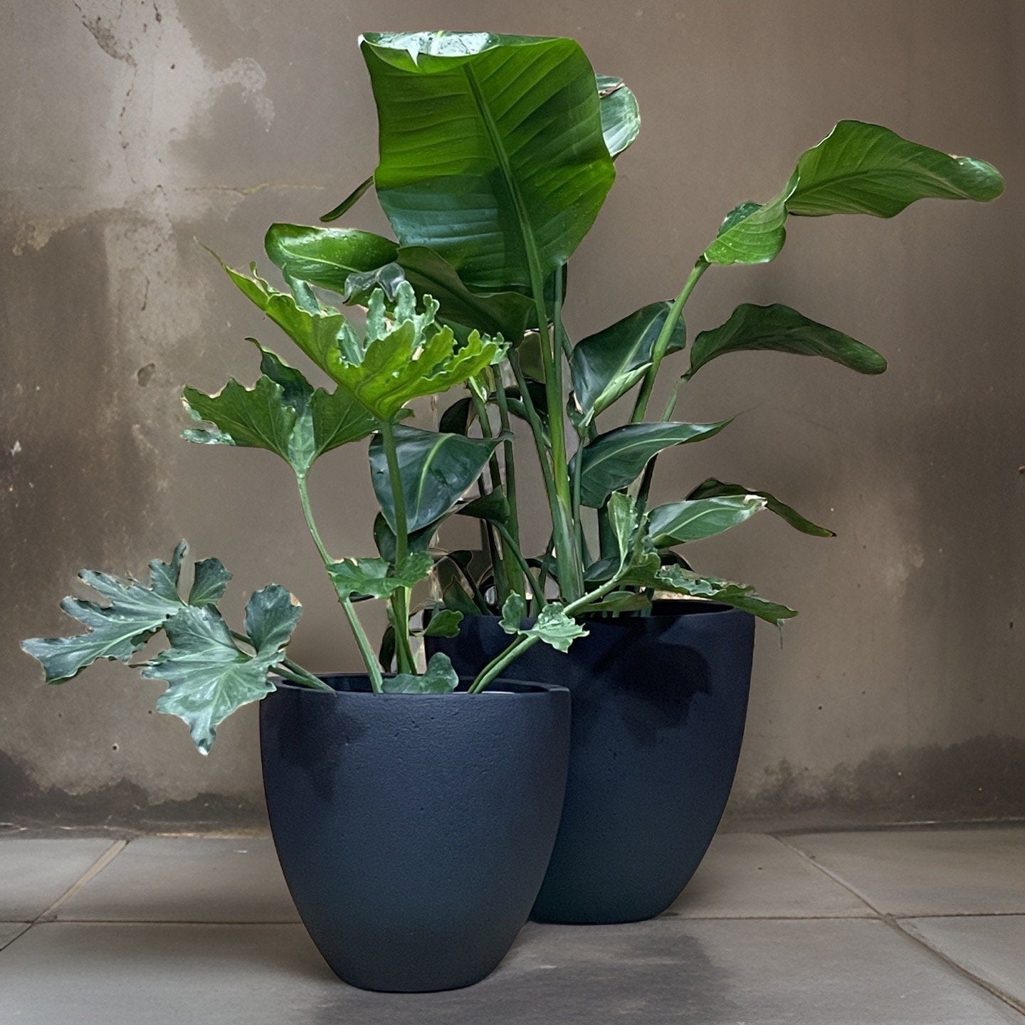 Black Stone Fiberglass Planter: Modern Round Garden Pot