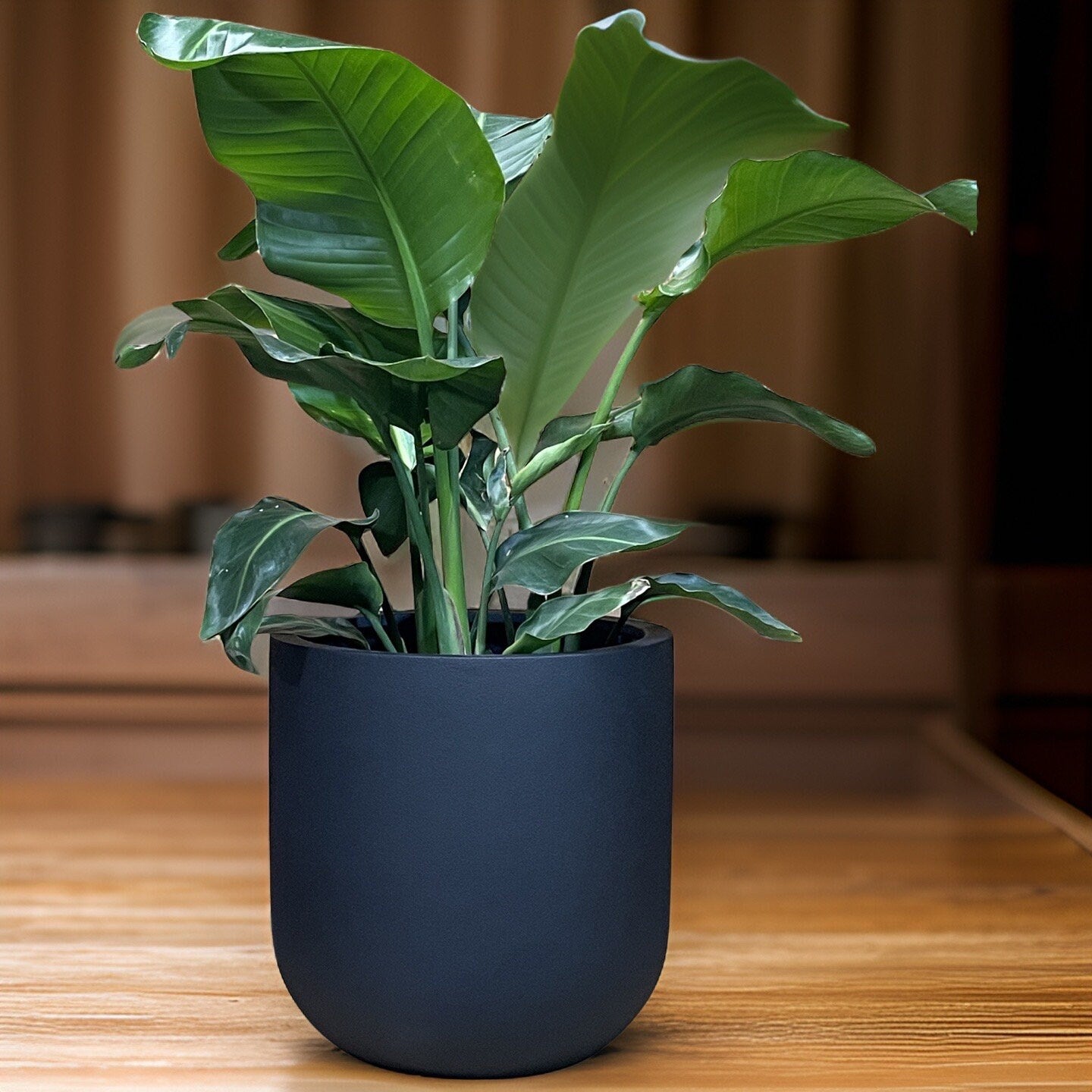 Black Matte Fiberglass Planter: Modern Round U Pot