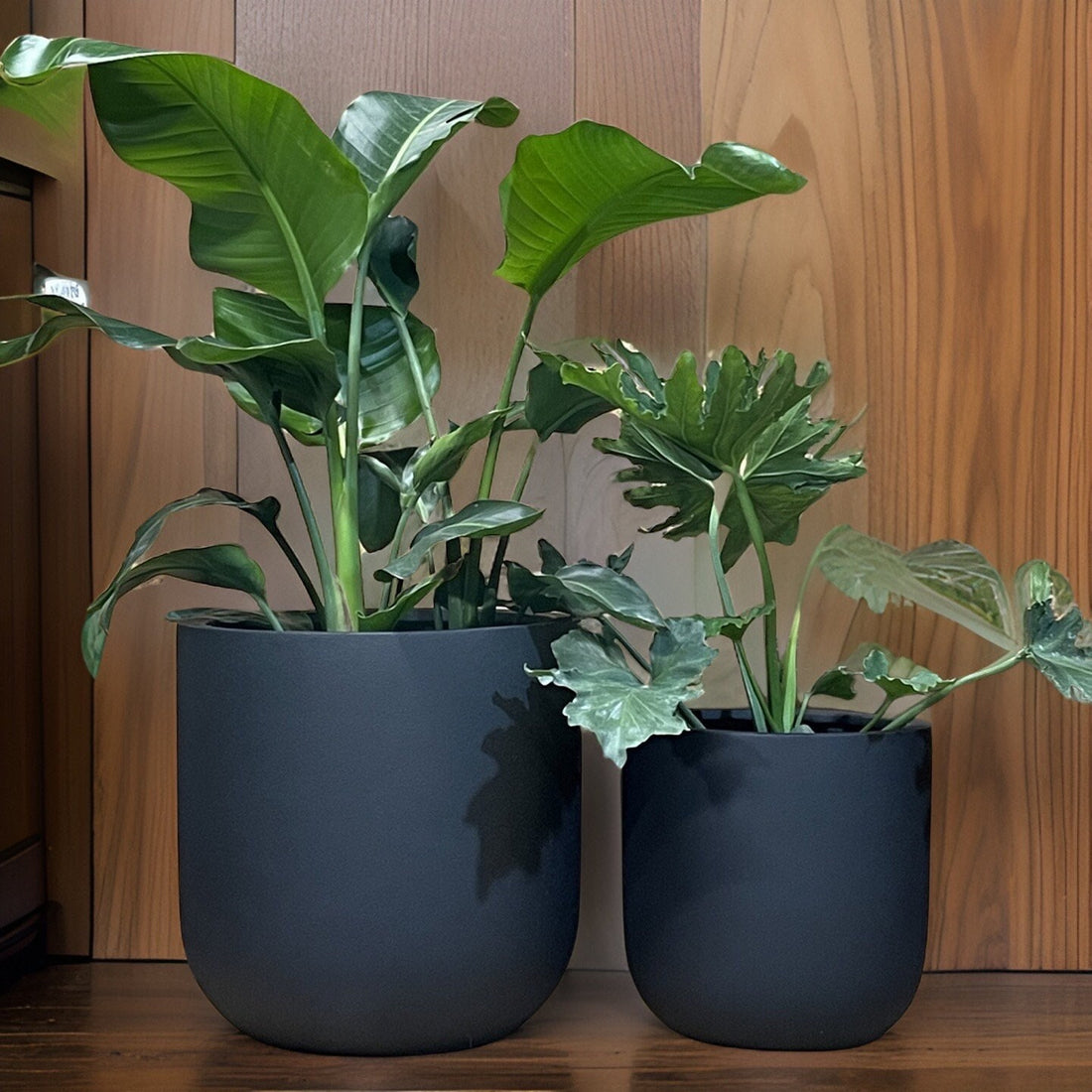 Black Matte Fiberglass Planter: Modern Round U Pot
