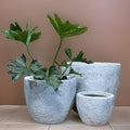 Handmade Fiberglass Planter: Round Moon Surface Design