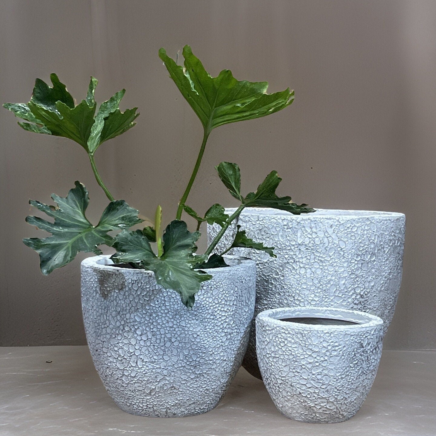 Handmade Fiberglass Planter: Round Moon Surface Design