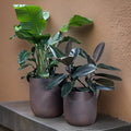 Iron Rust Fiberglass Planter: Contemporary Round Plant Pot