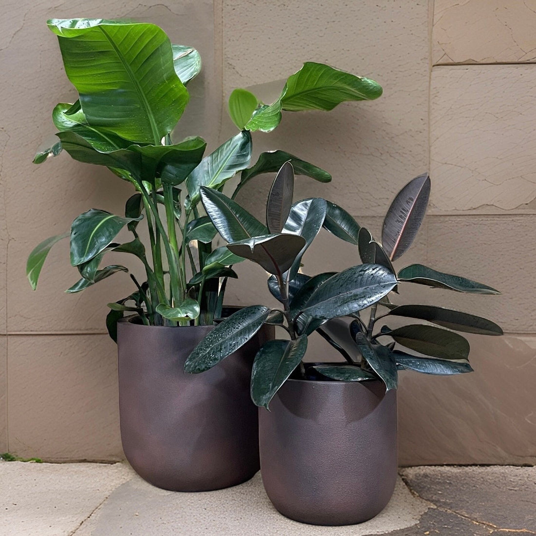 Iron Rust Fiberglass Planter: Contemporary Round Plant Pot