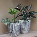 Woodskin Fiberglass Planter: Round Garden Pot, Natural Texture