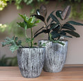 Woodskin Fiberglass Planter: Round Garden Pot, Natural Texture