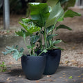 Black Stone Fiberglass Planter: Modern Round Garden Pot