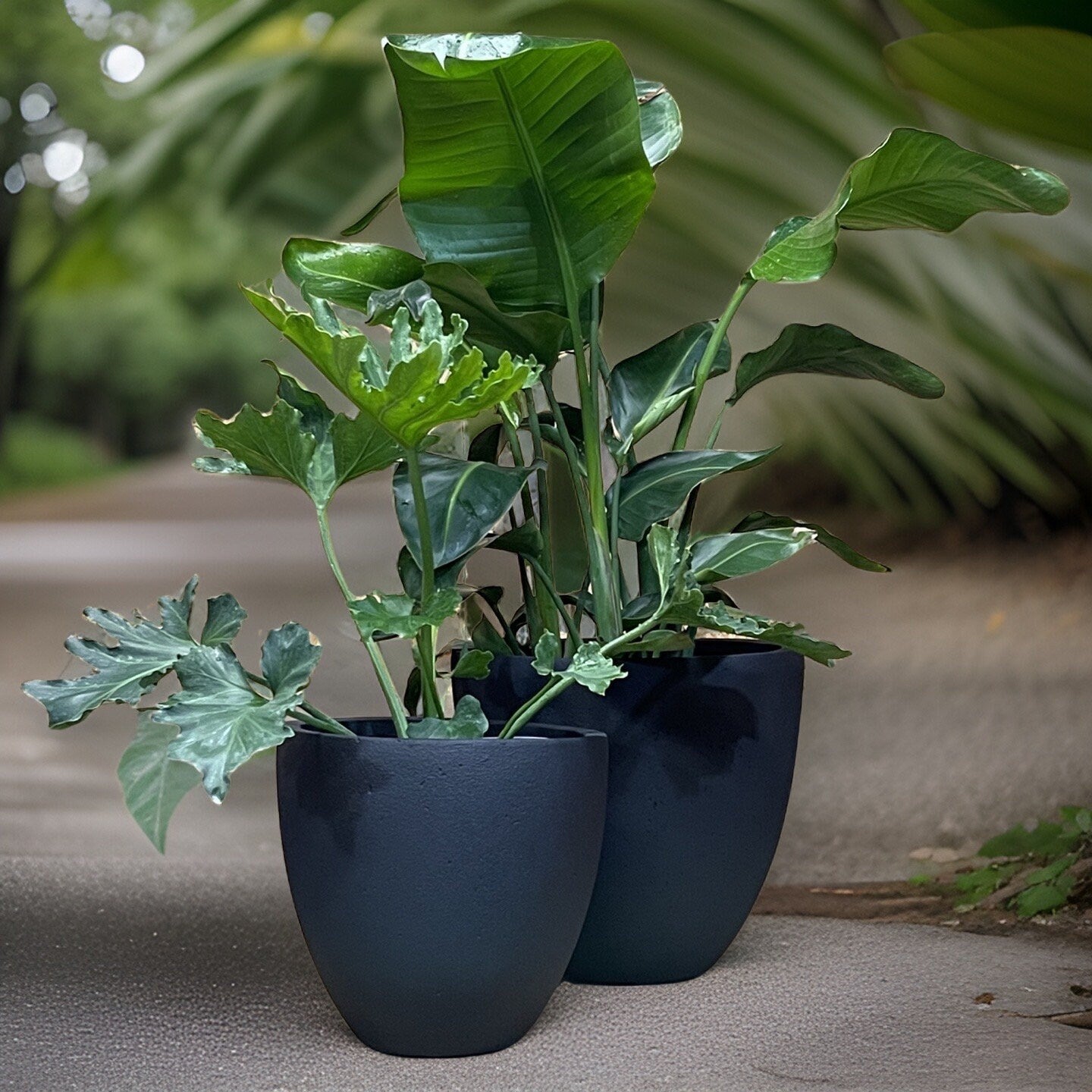 Black Stone Fiberglass Planter: Modern Round Garden Pot