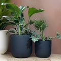 Black Matte Fiberglass Planter: Modern Round U Pot