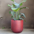 Vintage Red Fiberglass Planter: Round U Pot, Contemporary Garden Decor