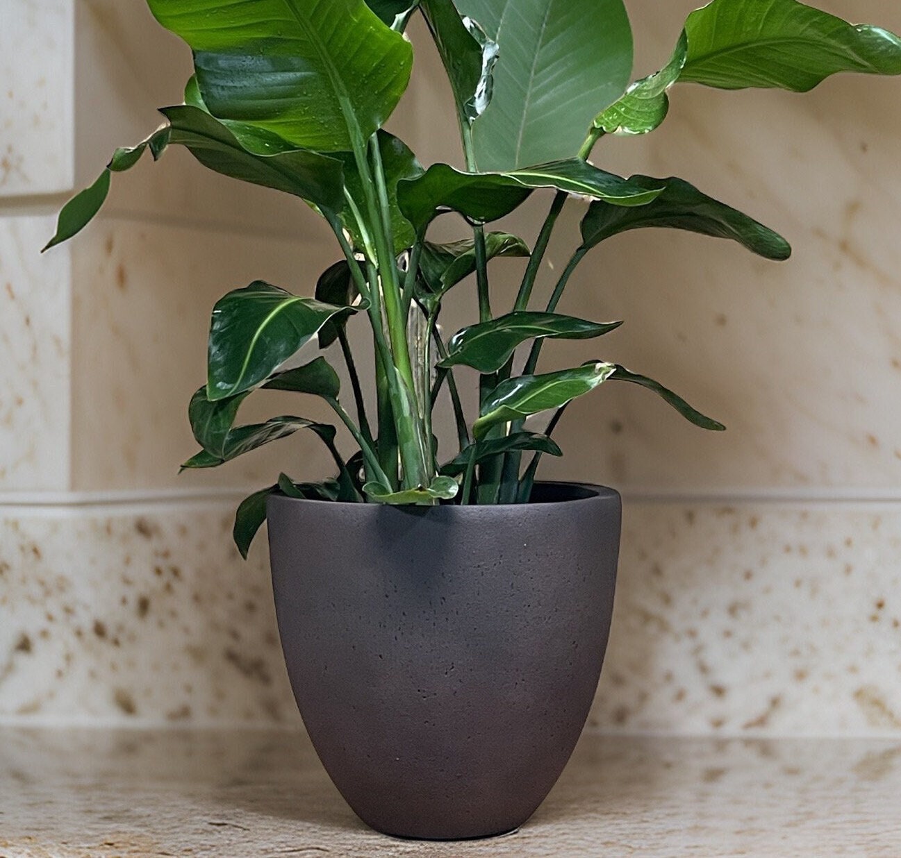 Iron Rust Fiberglass Planter: Round Garden Plant Pot (13-15 inches)