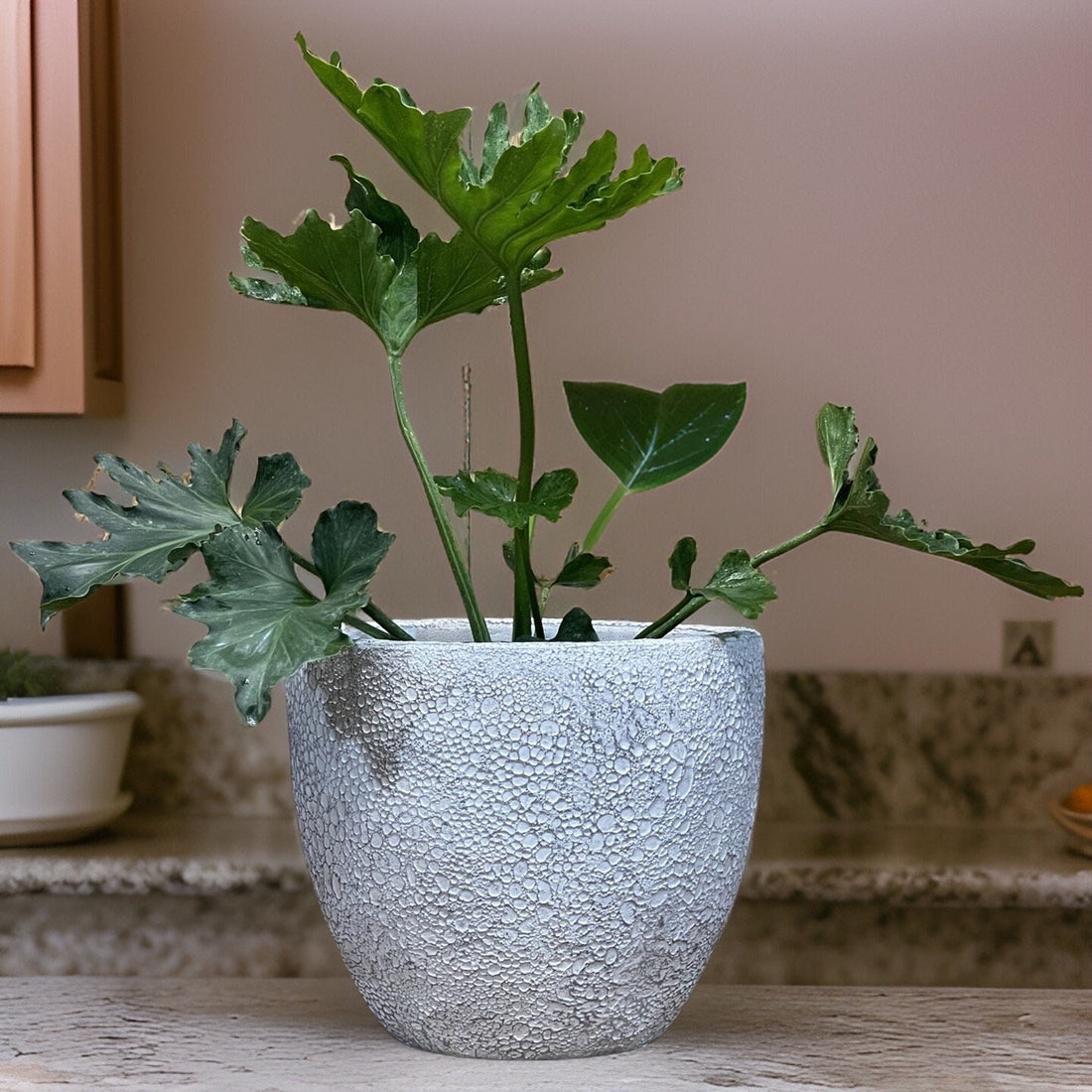 Handmade Fiberglass Planter: Round Moon Surface Design