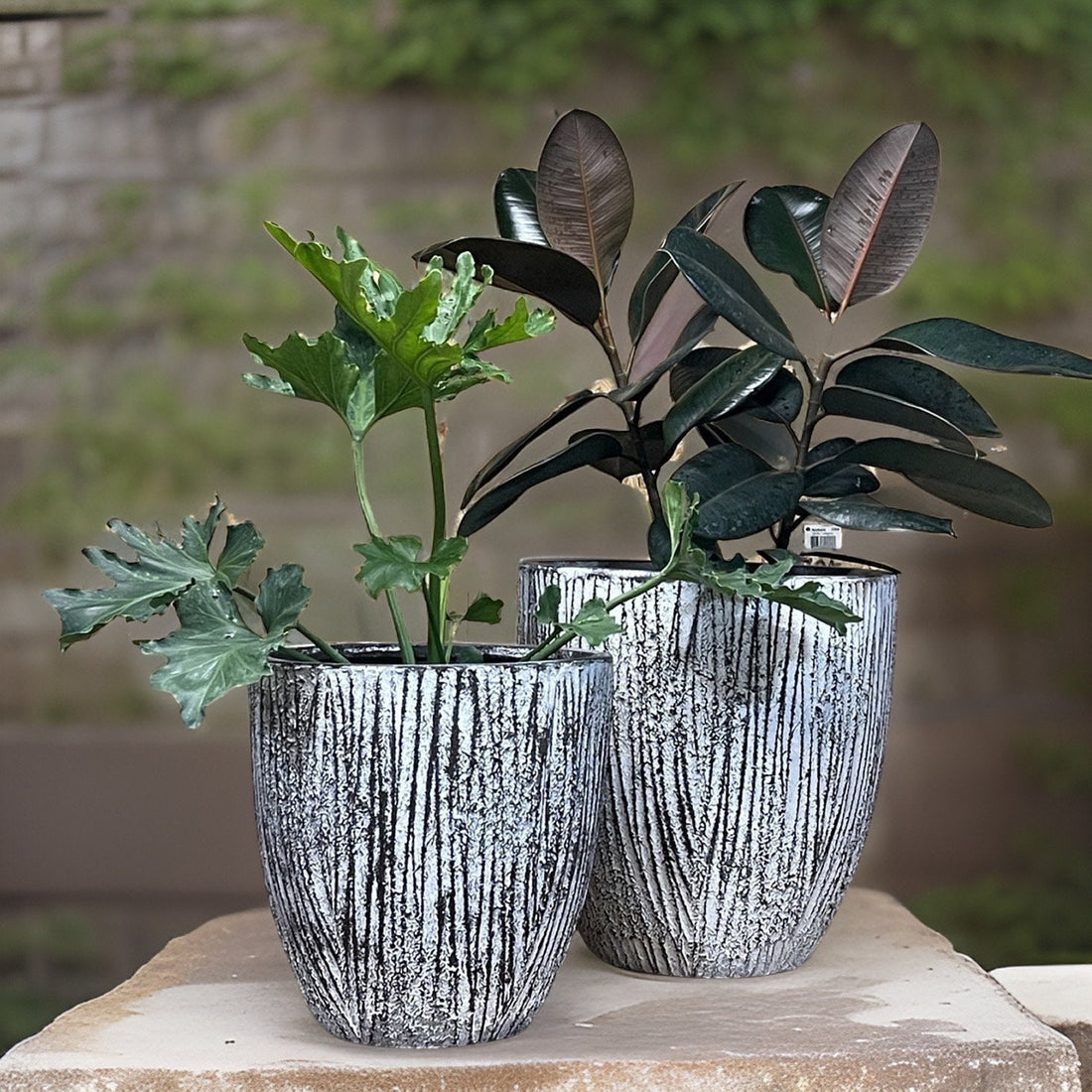 Woodskin Fiberglass Planter: Round Garden Pot, Natural Texture