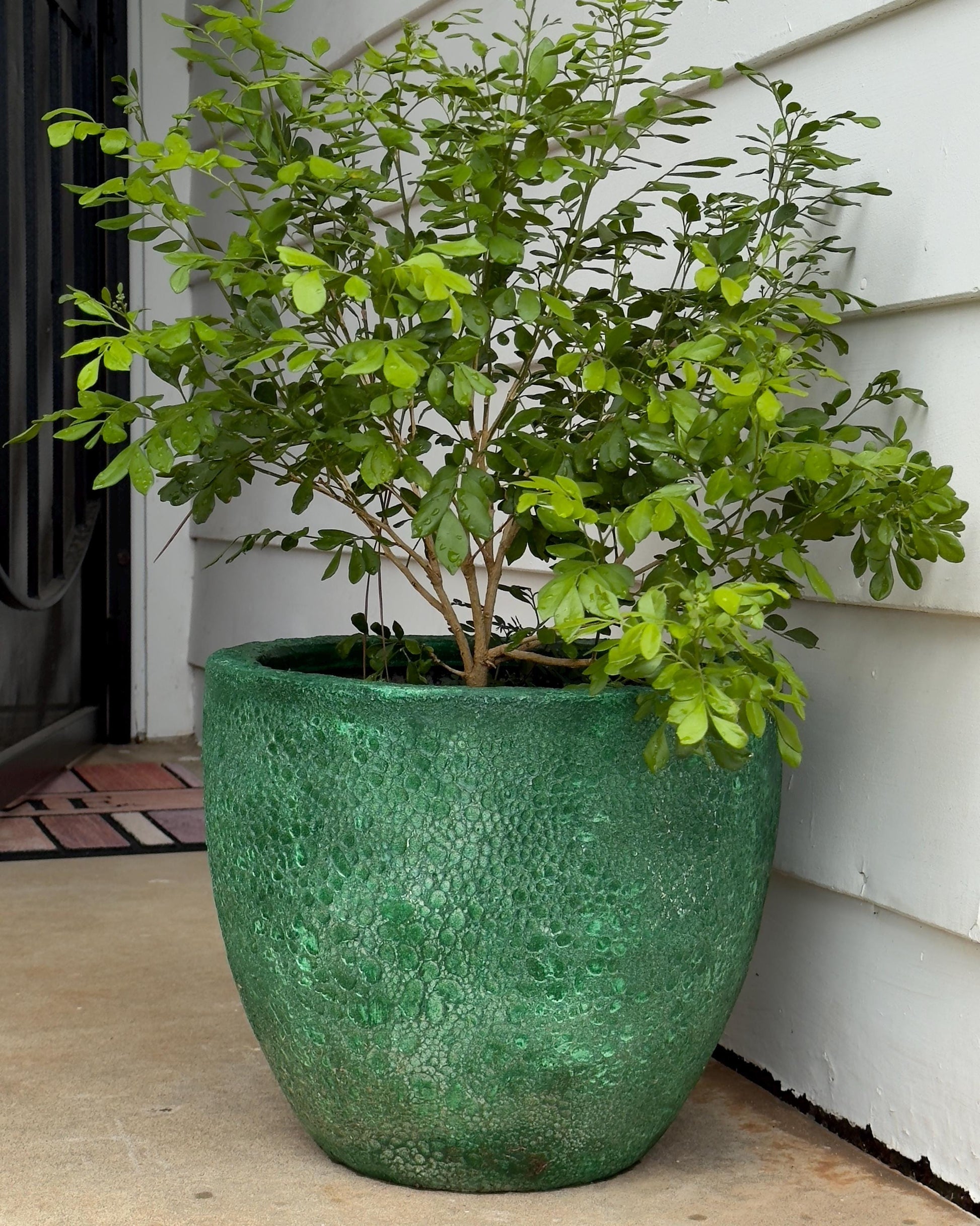 Handmade Green Fiberglass Planter: Moon Surface Round Egg Pot