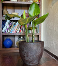 Handmade Fiberglass Planter: Moon Surface Design, Indoor Outdoor (10-18 Inches)