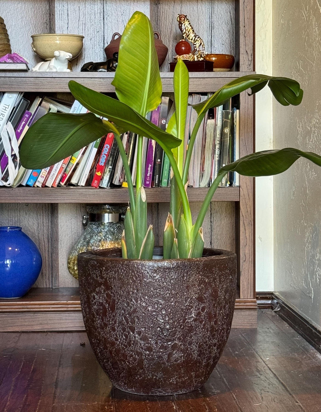 Handmade Fiberglass Planter: Moon Surface Design, Indoor Outdoor (10-18 Inches)