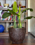 Handmade Fiberglass Planter: Moon Surface Design, Indoor Outdoor (10-18 Inches)