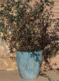 Teal Rust Fiberglass Planter: Round Garden Pot, Natural Texture