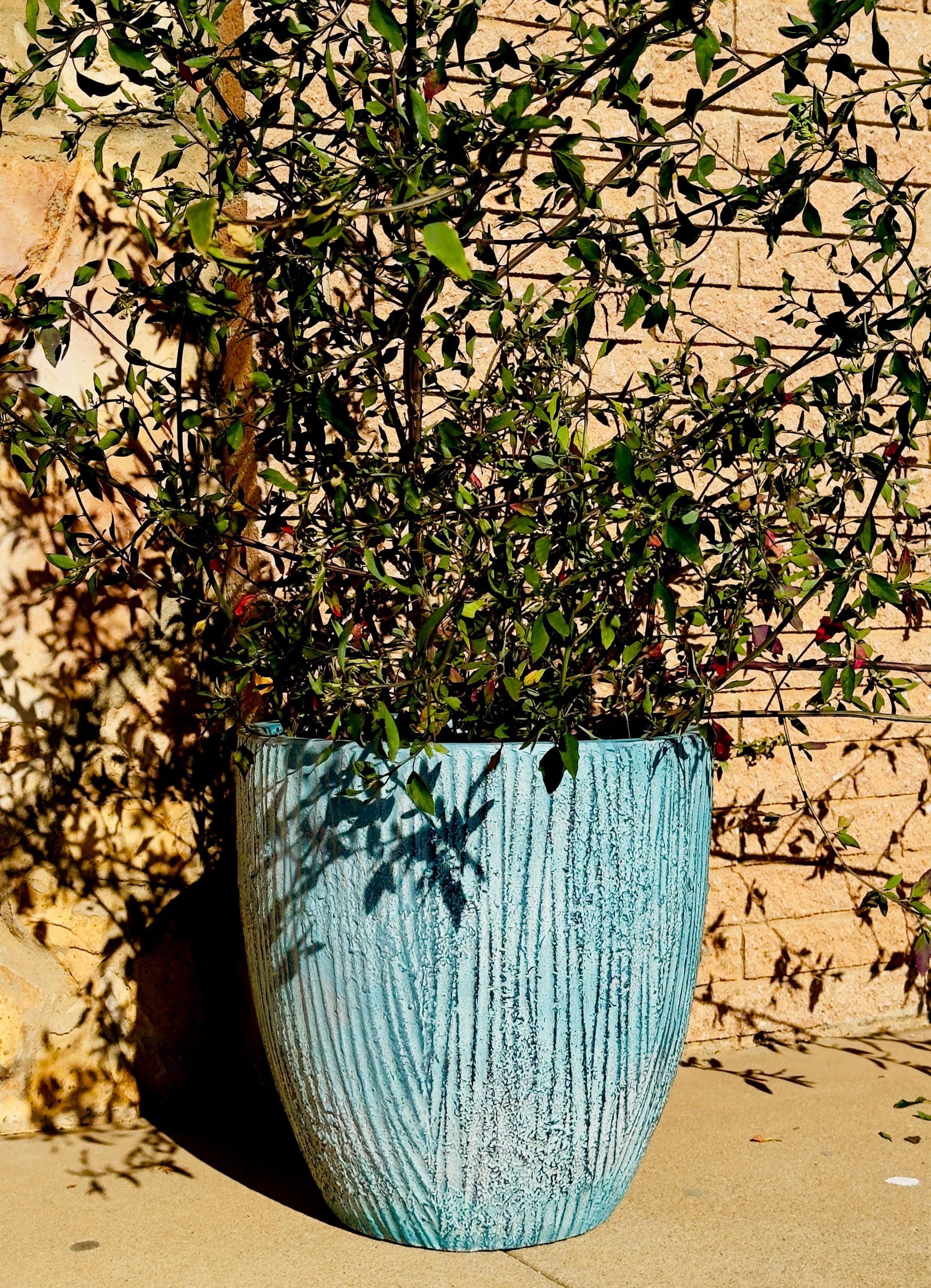 Fiberglass planter, pot, plant pot