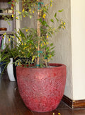 Handmade Red Fiberglass Planter: Moon Surface Style (14-18 Inches)