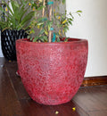 Handmade Red Fiberglass Planter: Moon Surface Style (14-18 Inches)
