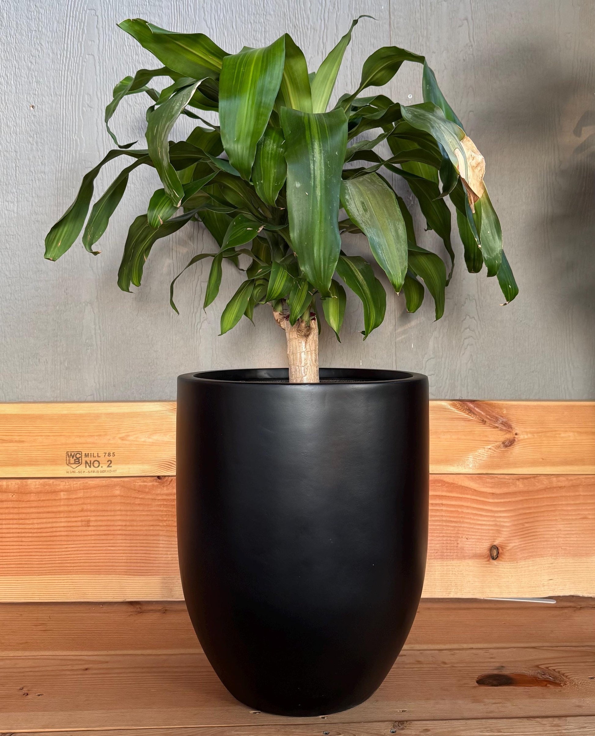 Matte Black Fiberglass Planter: Modern Round Garden Pot