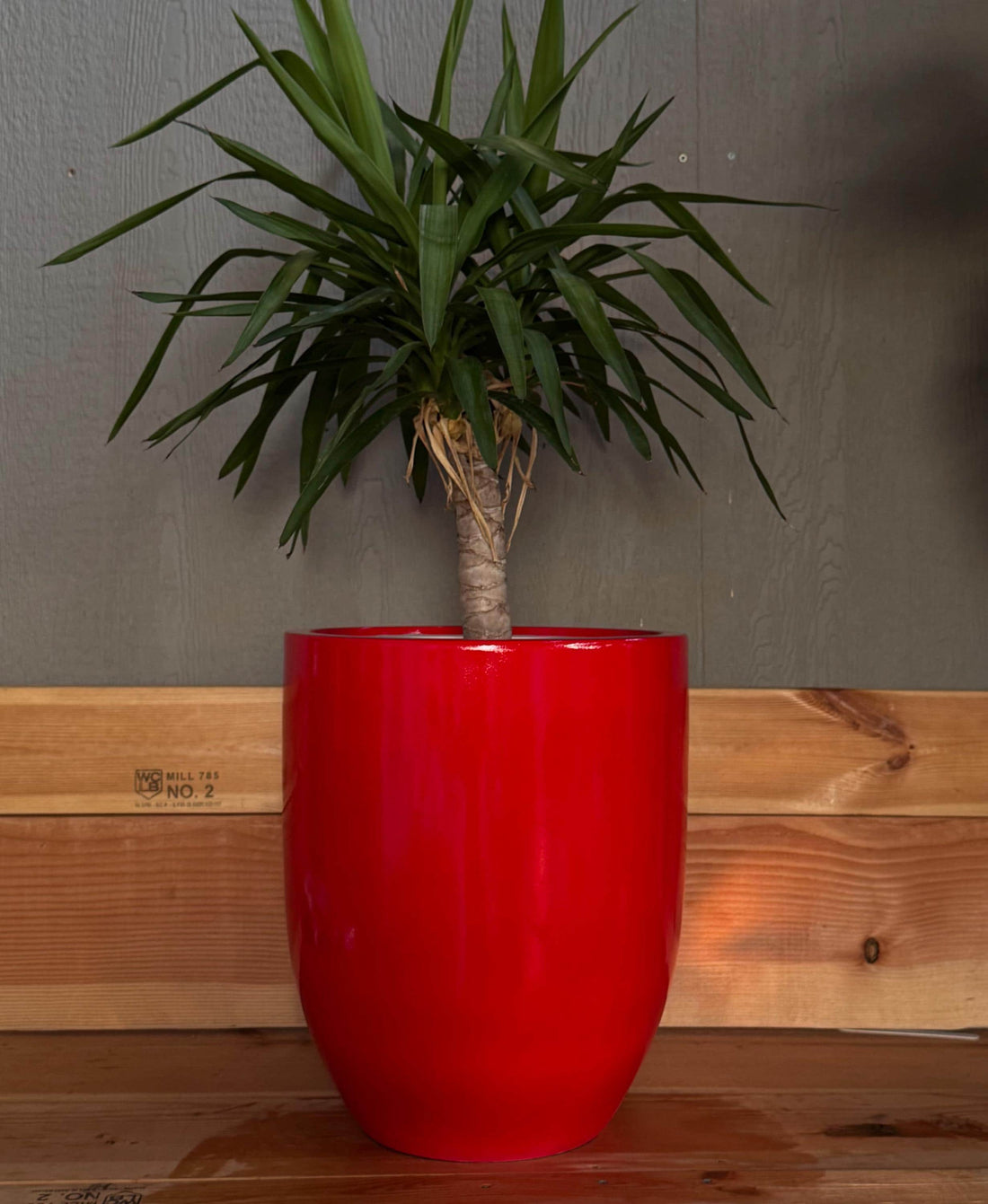 Glossy Red Fiberglass Planter: Contemporary Garden & Home Decor (18-27 Inches Tall)