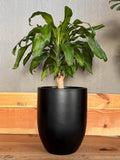 Matte Black Fiberglass Planter: Modern Round Garden Pot