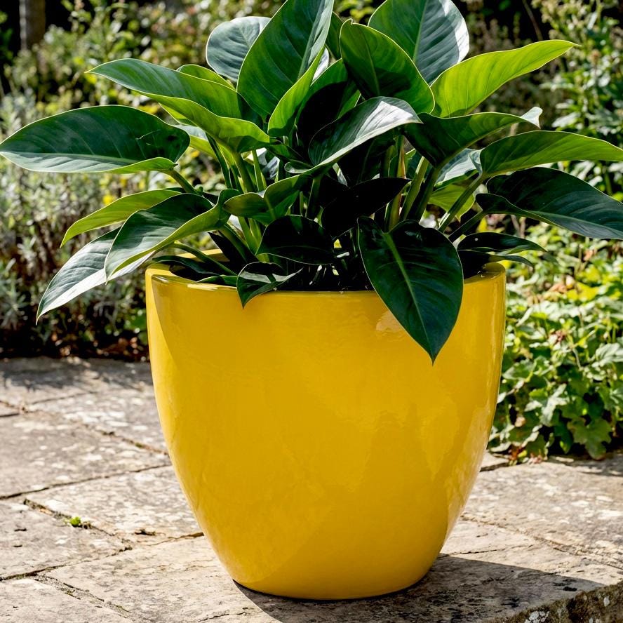 Glossy Yellow Fiberglass Planter: Modern Round Home Garden Pot, 14-27 Inch