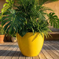 Glossy Yellow Fiberglass Planter: Modern Round Home Garden Pot, 14-27 Inch