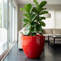 Glossy Red Fiberglass Planter: Modern Round Home Garden Pot, 14-27 Inch