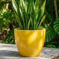 Glossy Yellow Fiberglass Planter: Modern Round Home Garden Pot, 14-27 Inch