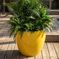 Glossy Yellow Fiberglass Planter: Modern Round Home Garden Pot, 14-27 Inch