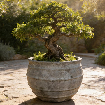 XL Moon Surface Fiberglass Planter - Garden Pot Rust Color (25-31 Inches)
