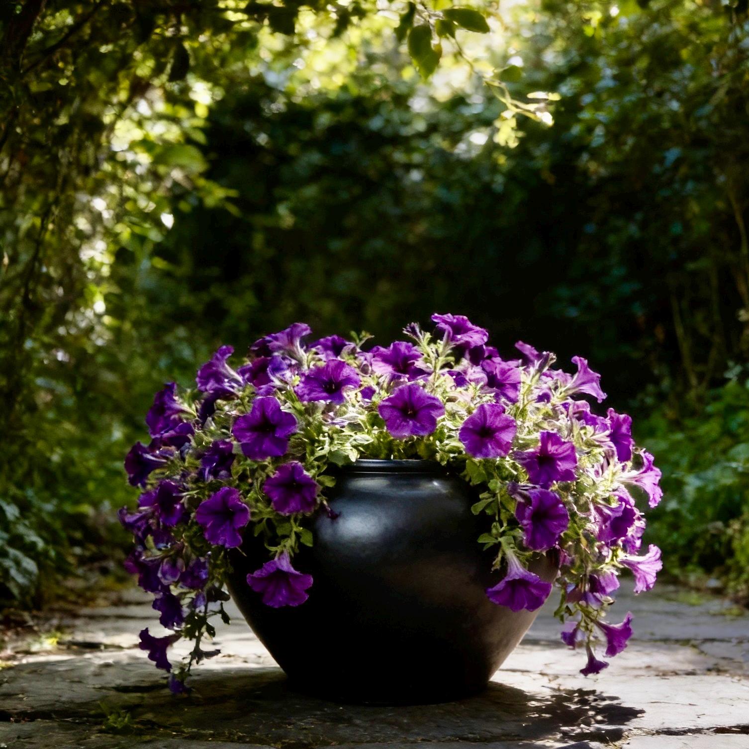 Satin Black Fiberglass Planter: 25-43 Inch XXL Round Garden Pot