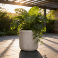Fiberglass Planter 12 inches Gray, Weather Resistant Indoor Outdoor Planter