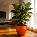 Glossy Orange Fiberglass Planter: Modern Round Home Garden Pot, 17-24 Inches